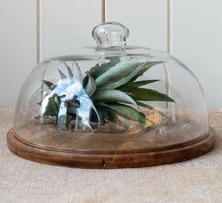 Brooklyn Wooden Platter w Glass Cloche