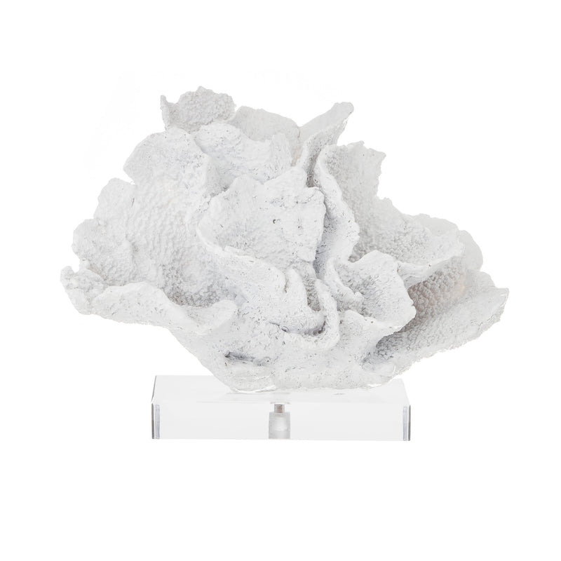 Coral Sculpture