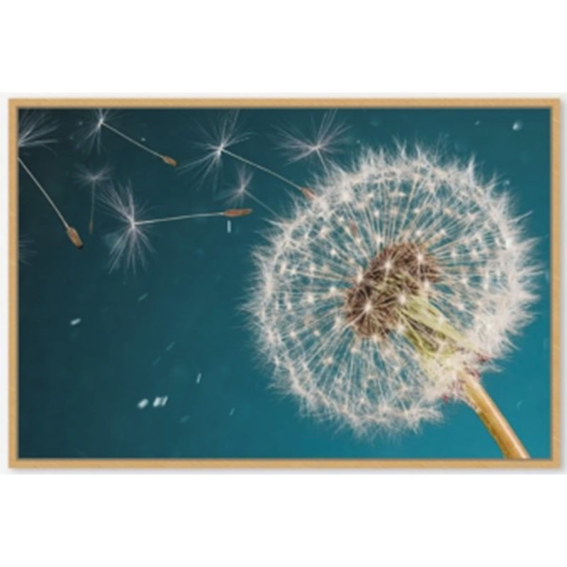Dandelion Canvas Print