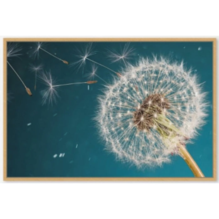 Dandelion Canvas Print